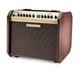 Amplificateur Pour Guitare Acoustique Fishman Loudbox Mini 60 Watts 1 X 6,5 Pouces