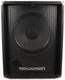 Cabinet De Haut-parleur D'amplificateur De Guitare Rocktron Velocity S112 8 Ohms 100 W