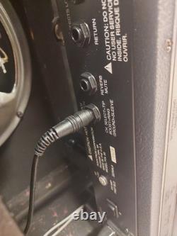 Egnater TOL 50 Combo à lampes 1x12 fabriqué aux États-Unis, fin des années 90, Tone Of Life Amplificateur