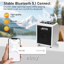 Ensemble d'amplificateur combo basse 30W avec cordon d'instrument mono CM-04 6,35 mm de 15 pieds