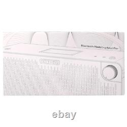 Hotone Pulze amplificateur de modélisation portable de 30 watts Eclipse