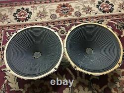 Paire De Haut-parleurs Vintage Magnavox 12 Haut-parleurs 8 Ohms Guitar Amplificateur Ribbed Cone