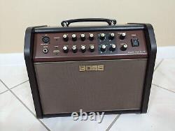 Patron Acoustic Singer Live LT 60-watt Bi-amp Acoustic Combo