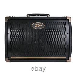 Peavey Ecoustique E208 Amplificateur De Guitare Acoustique 20w Twin Speaker