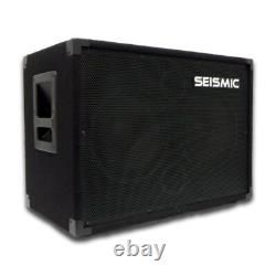 SEISMIC AUDIO 210 Caisson d’enceinte pour guitare basse 4 ohms 2x10